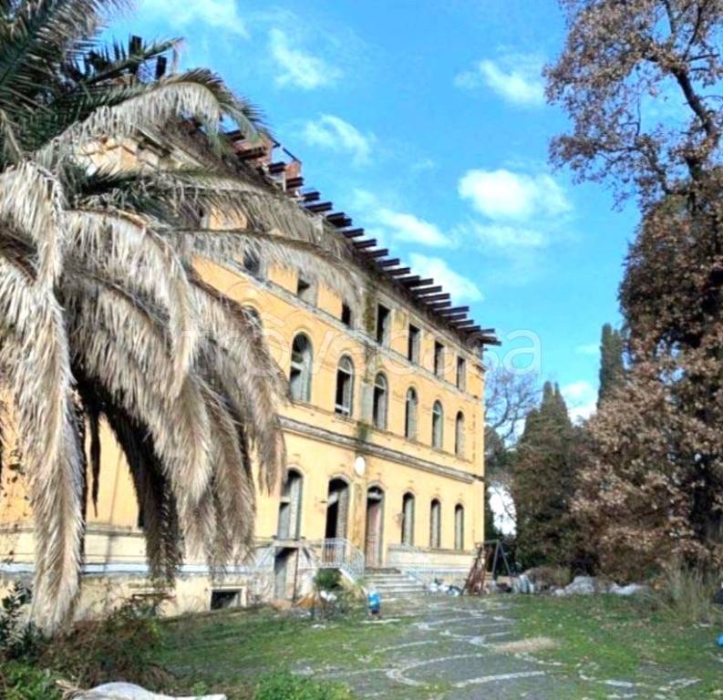 immagine annuncio 8 di 12