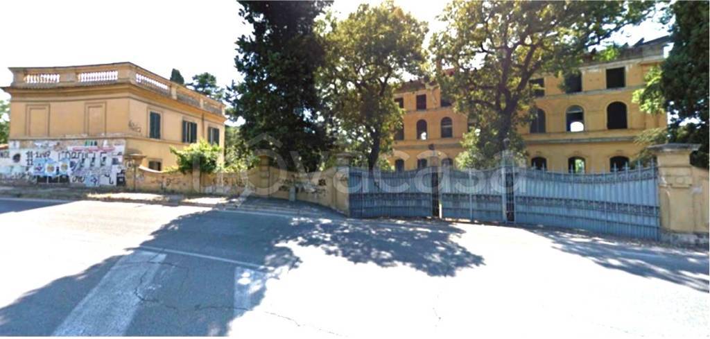 immagine annuncio 6 di 12