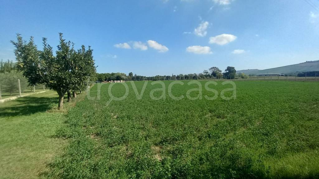 immagine annuncio 2 di 4