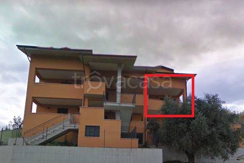 immagine annuncio 11 di 12