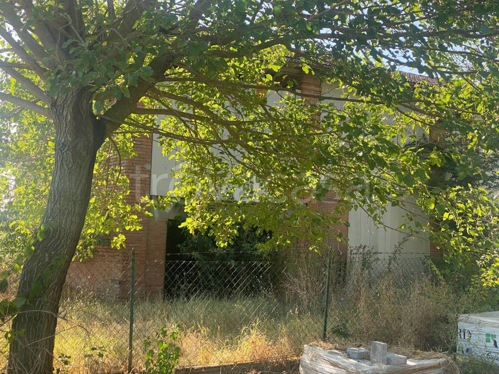 immagine annuncio 4 di 7