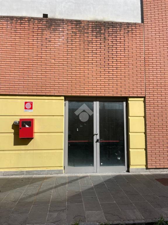 immagine annuncio 6 di 13