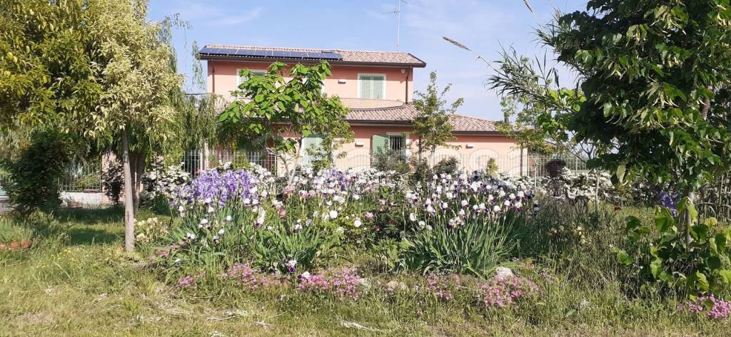 Villa in vendita a Castell'Arquato via Canale, 17