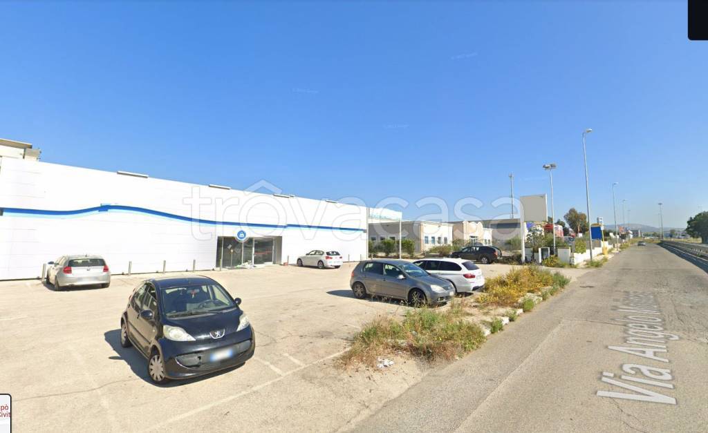 immagine annuncio 10 di 12