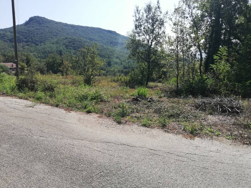 immagine annuncio 12 di 13