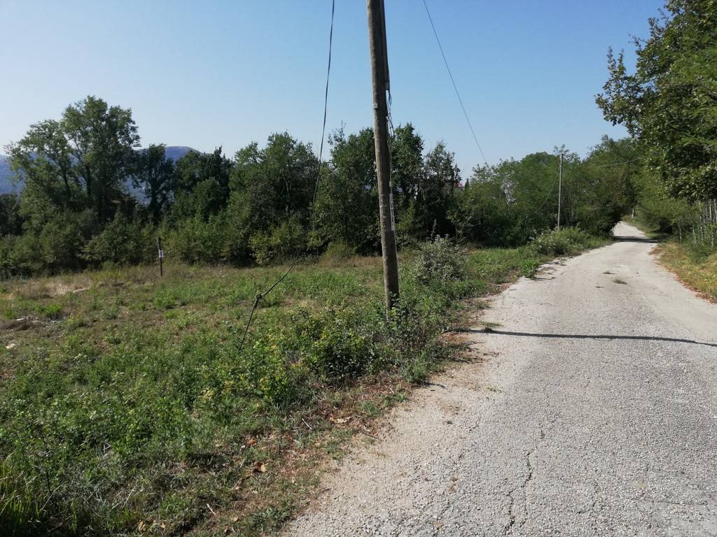 immagine annuncio 11 di 13