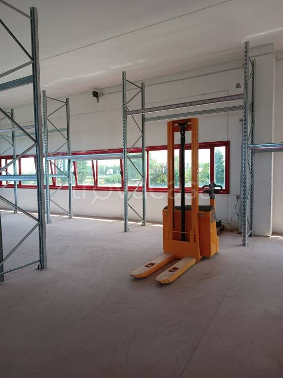 immagine annuncio 1 di 6