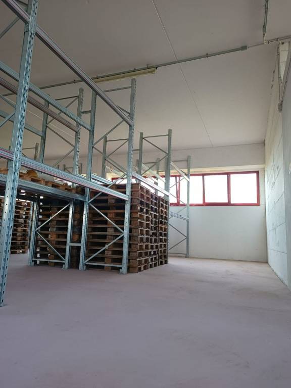 immagine annuncio 2 di 6