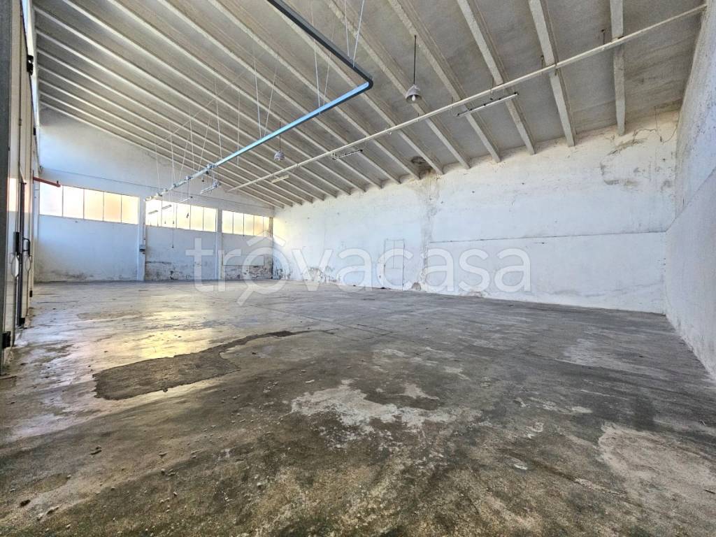 immagine annuncio 3 di 13