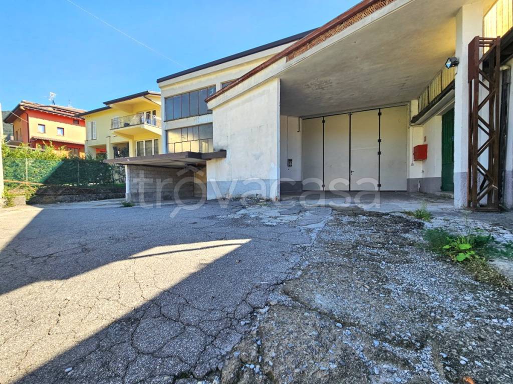 immagine annuncio 7 di 13