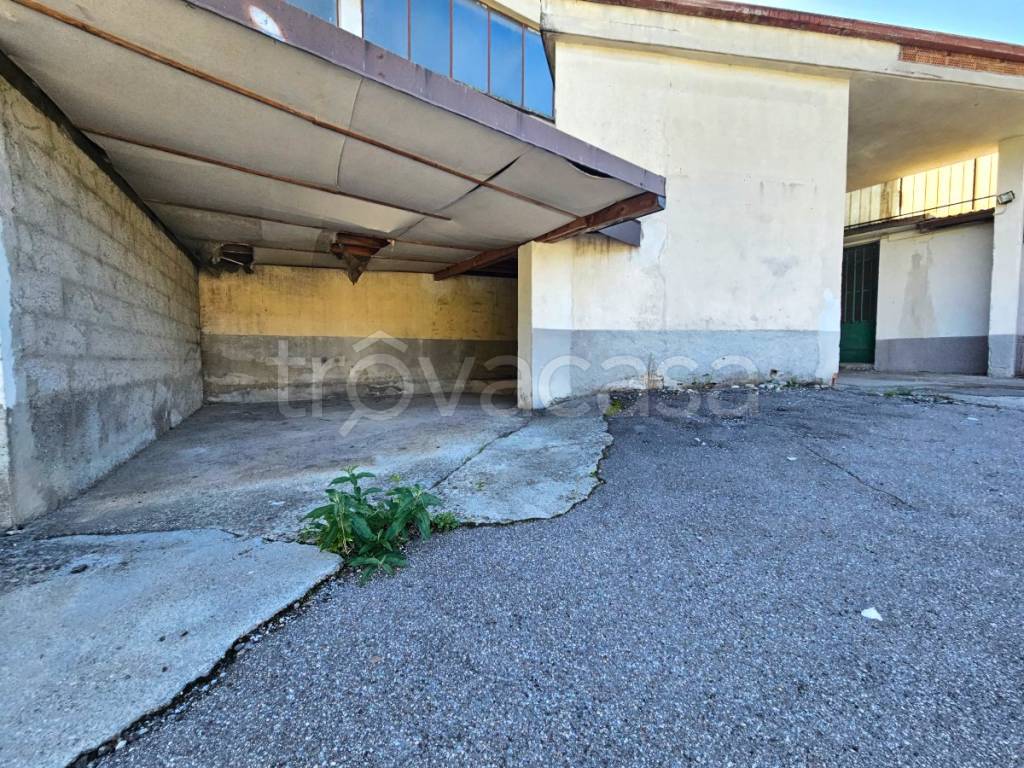 immagine annuncio 11 di 13