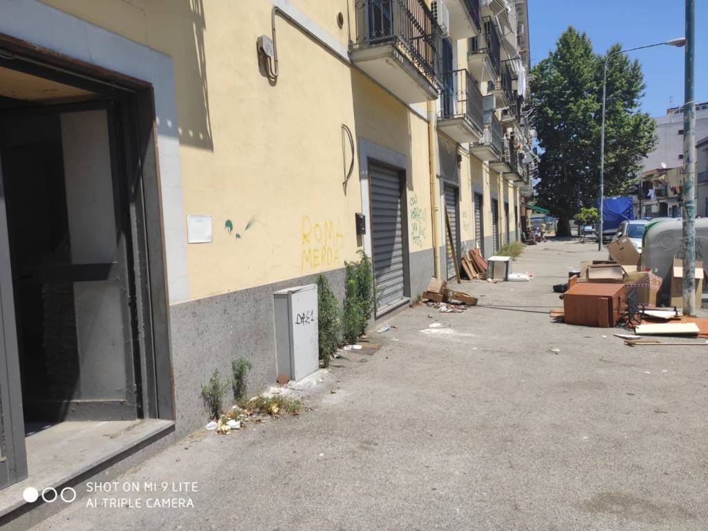immagine annuncio 2 di 9