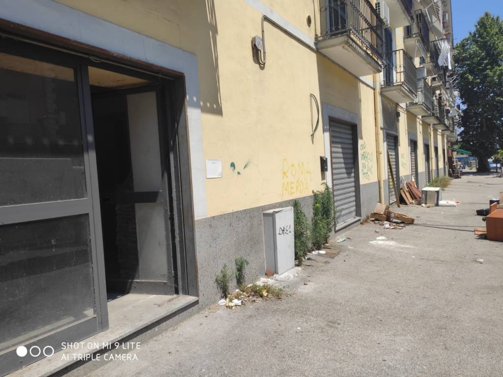 immagine annuncio 6 di 9