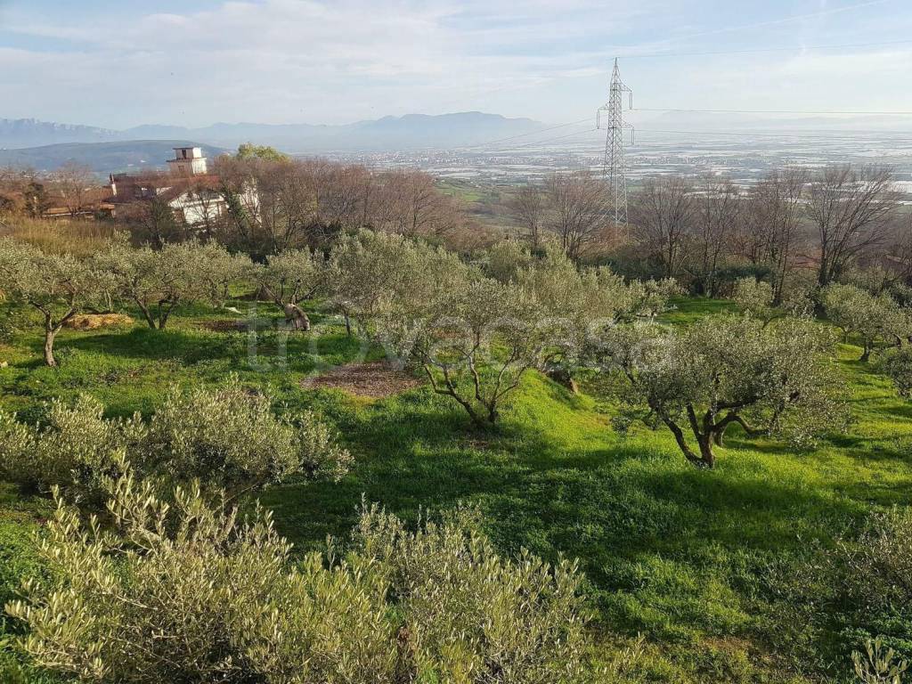 Terreno Edificabile in vendita a Montecorvino Pugliano sp28b
