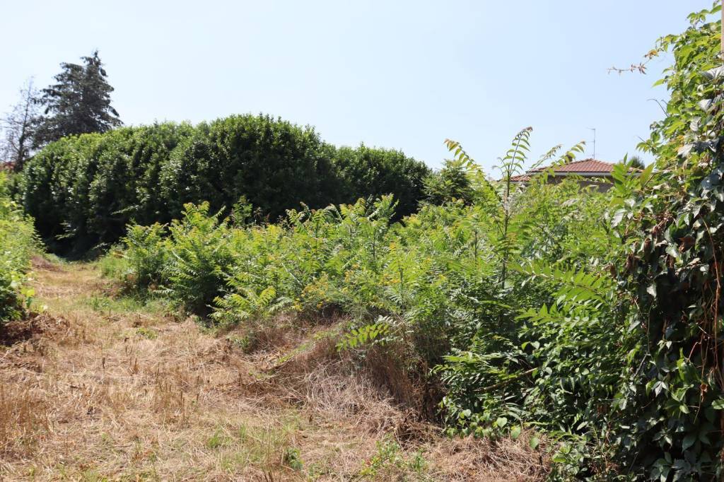 immagine annuncio 6 di 11