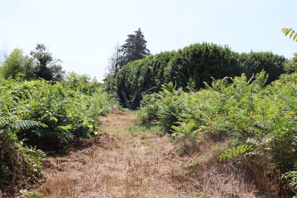 immagine annuncio 8 di 11