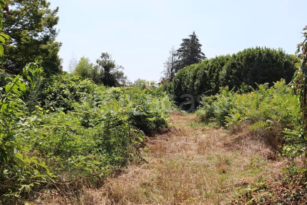 immagine annuncio 9 di 11