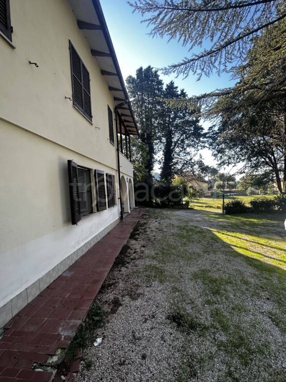 immagine annuncio 13 di 14