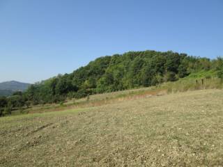 Terreno agricolo in vendita a prata di principato ultra via tavernanova, 1