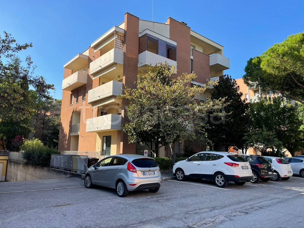 immagine annuncio 7 di 8