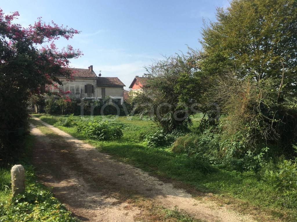 immagine annuncio 3 di 4