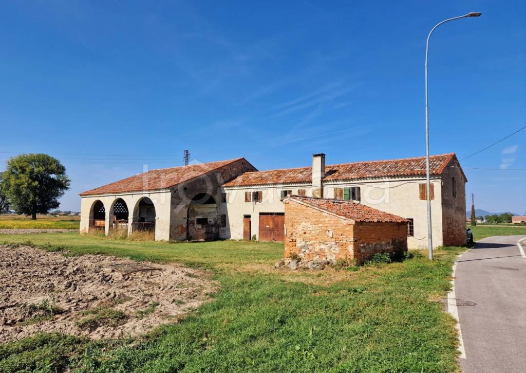 Casa Indipendente in vendita a Villa Estense vI argine valgrande