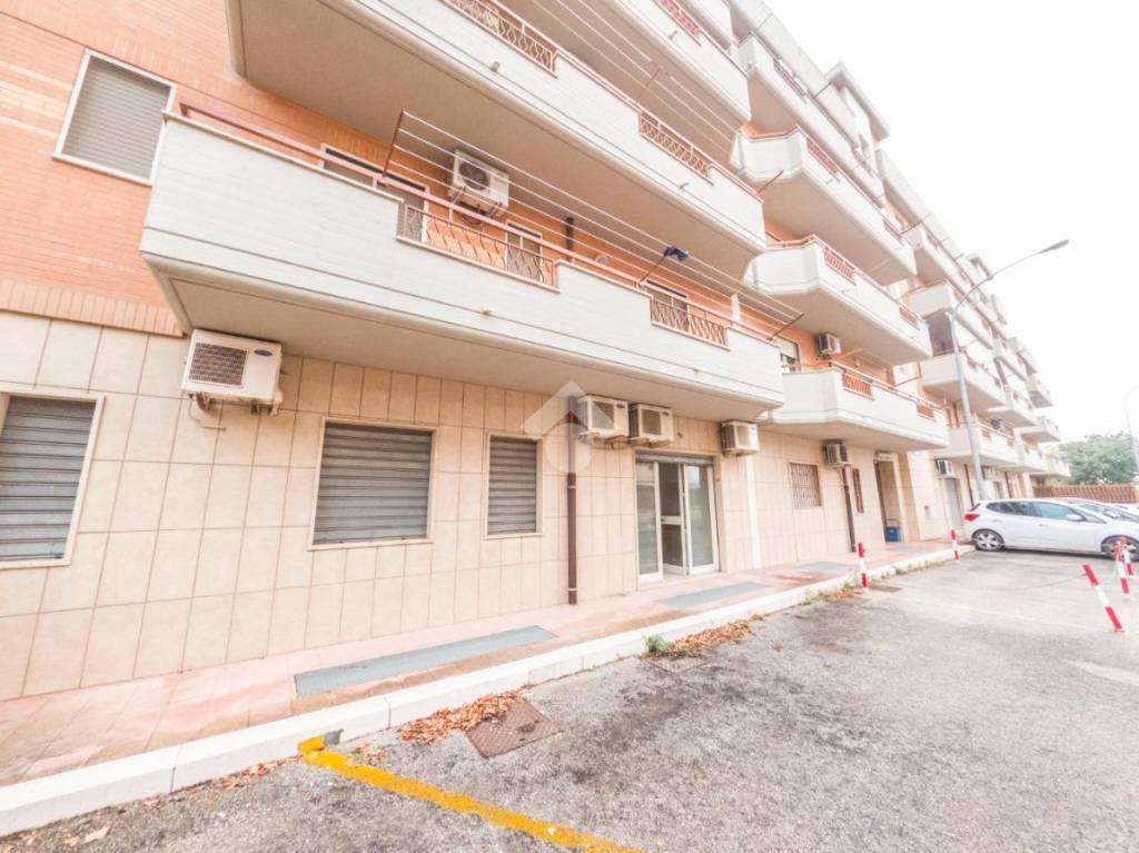 Appartamento in affitto a Manfredonia via delle Primule, 23