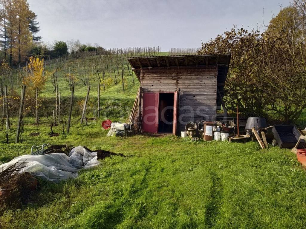 immagine annuncio 8 di 15