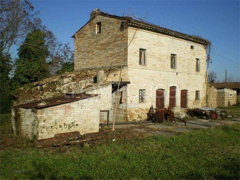 Colonica in in vendita da privato a Grottazzolina strada Fonte Carrà, 15