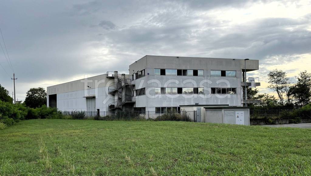 immagine annuncio 6 di 14