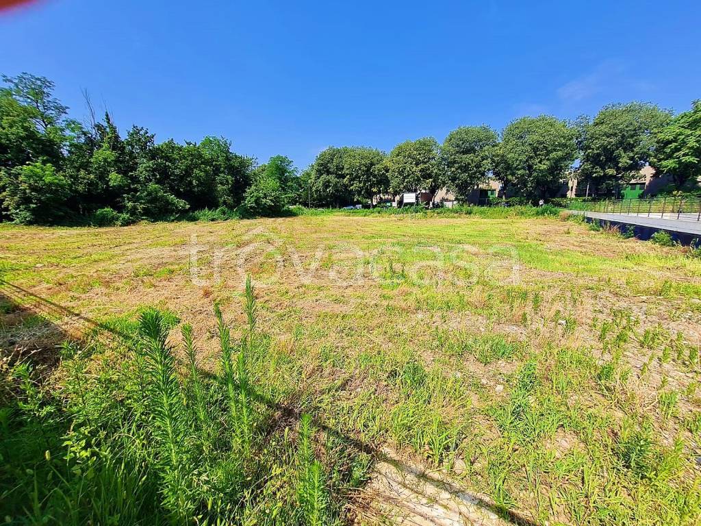 immagine annuncio 3 di 4