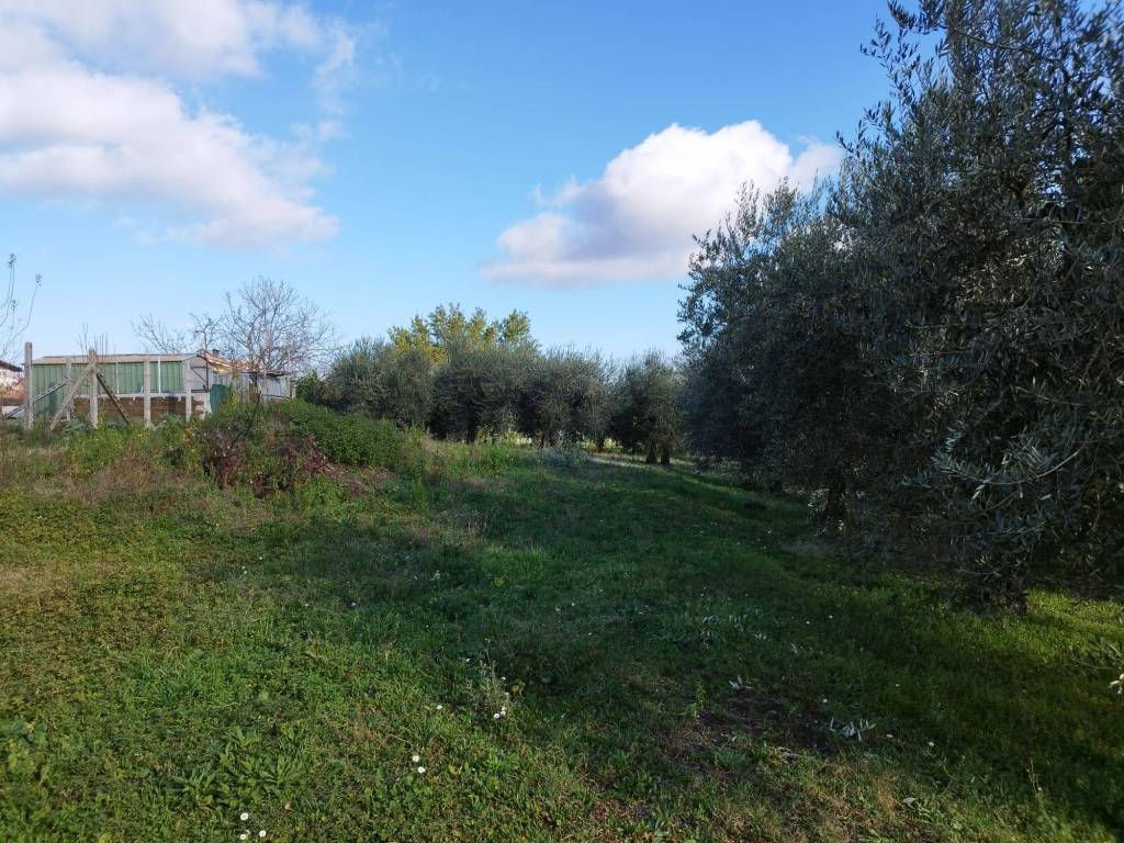 immagine annuncio 3 di 9