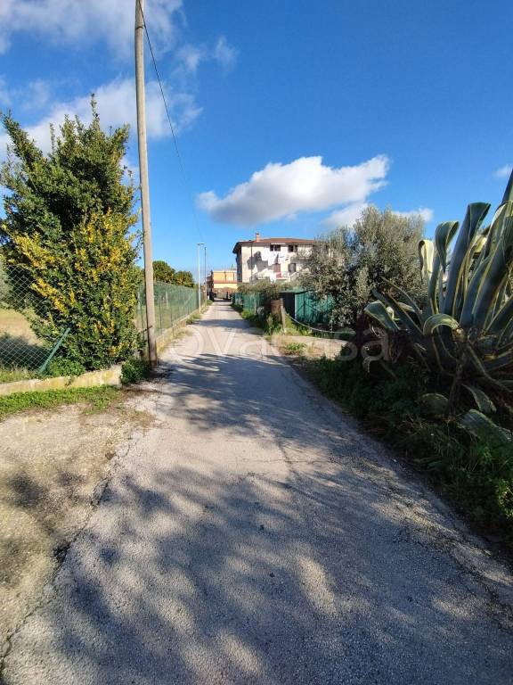 immagine annuncio 6 di 9