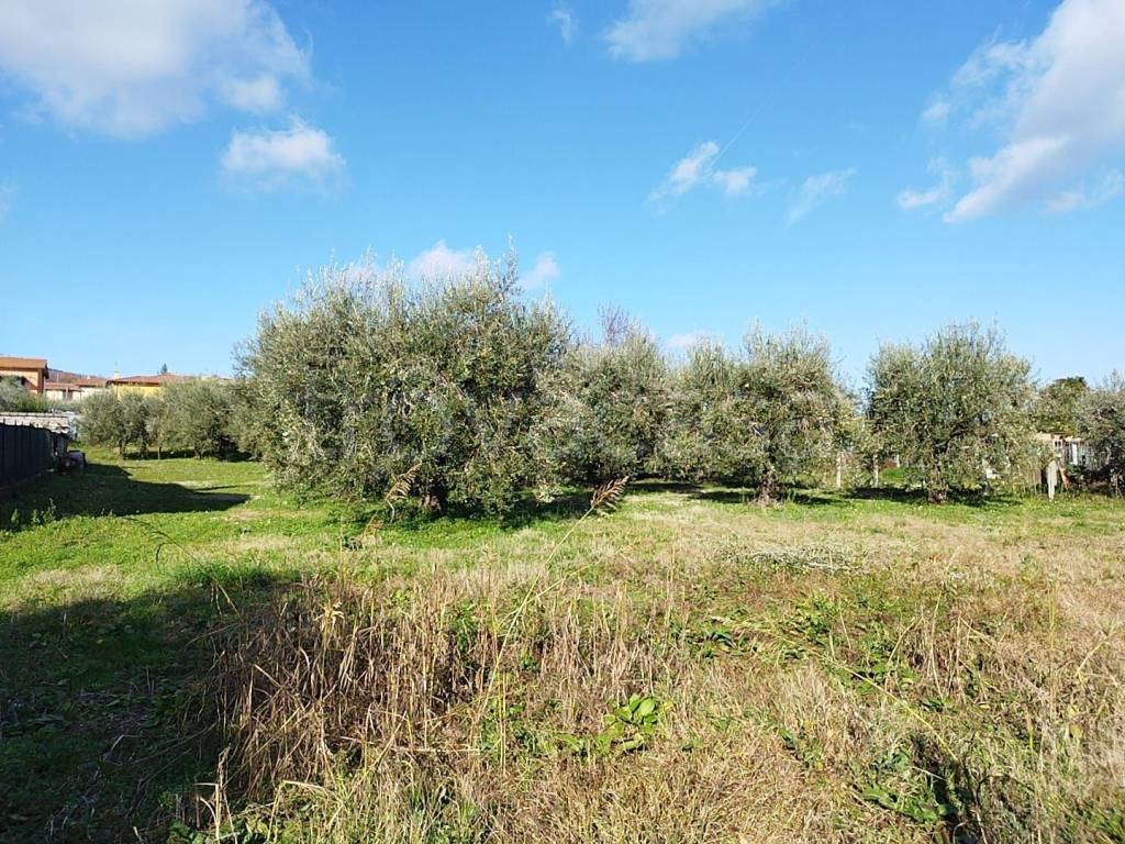 immagine annuncio 8 di 9