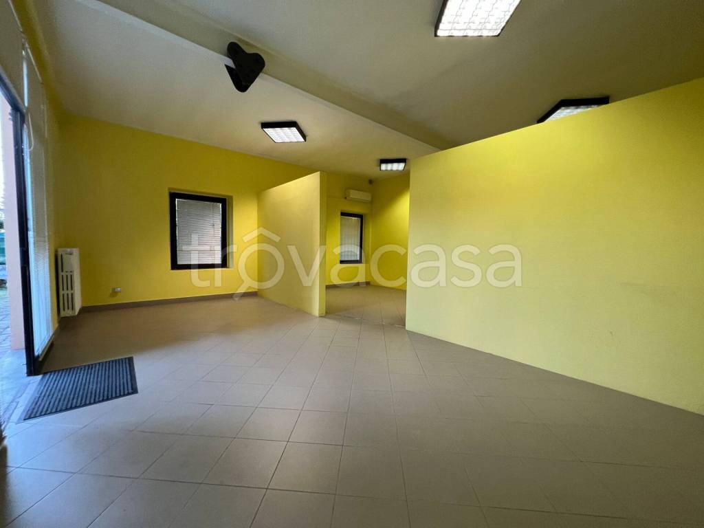 immagine annuncio 3 di 9