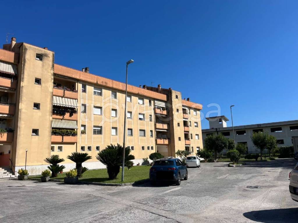 immagine annuncio 9 di 12