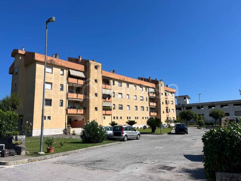 immagine annuncio 5 di 12