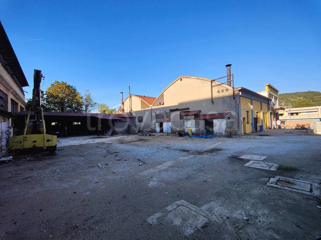 immagine annuncio 4 di 7