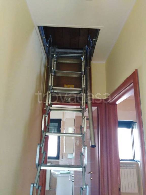 immagine annuncio 5 di 6