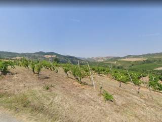 Terreno agricolo all'asta a borgoratto mormorolo via roma