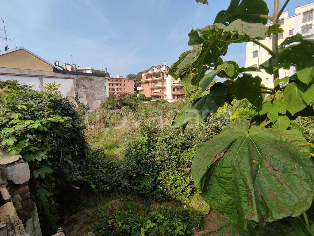 immagine annuncio 3 di 14