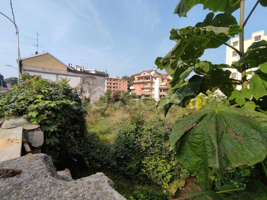 immagine annuncio 6 di 14