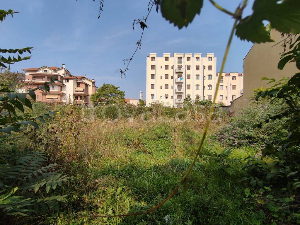 immagine annuncio 9 di 14
