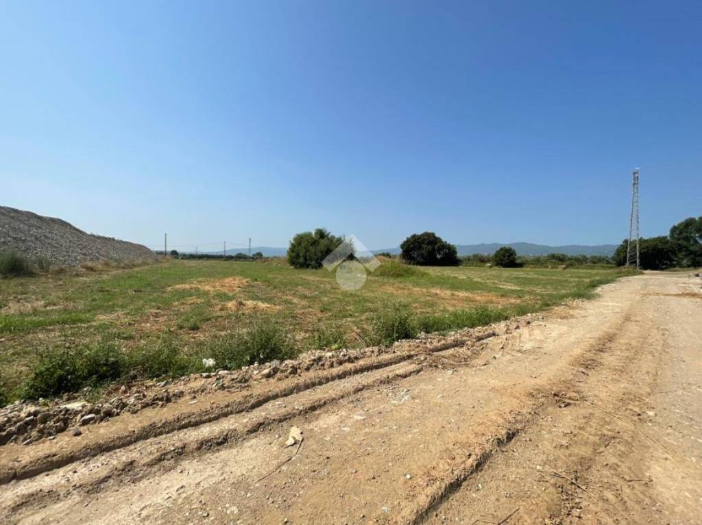 immagine annuncio 2 di 12