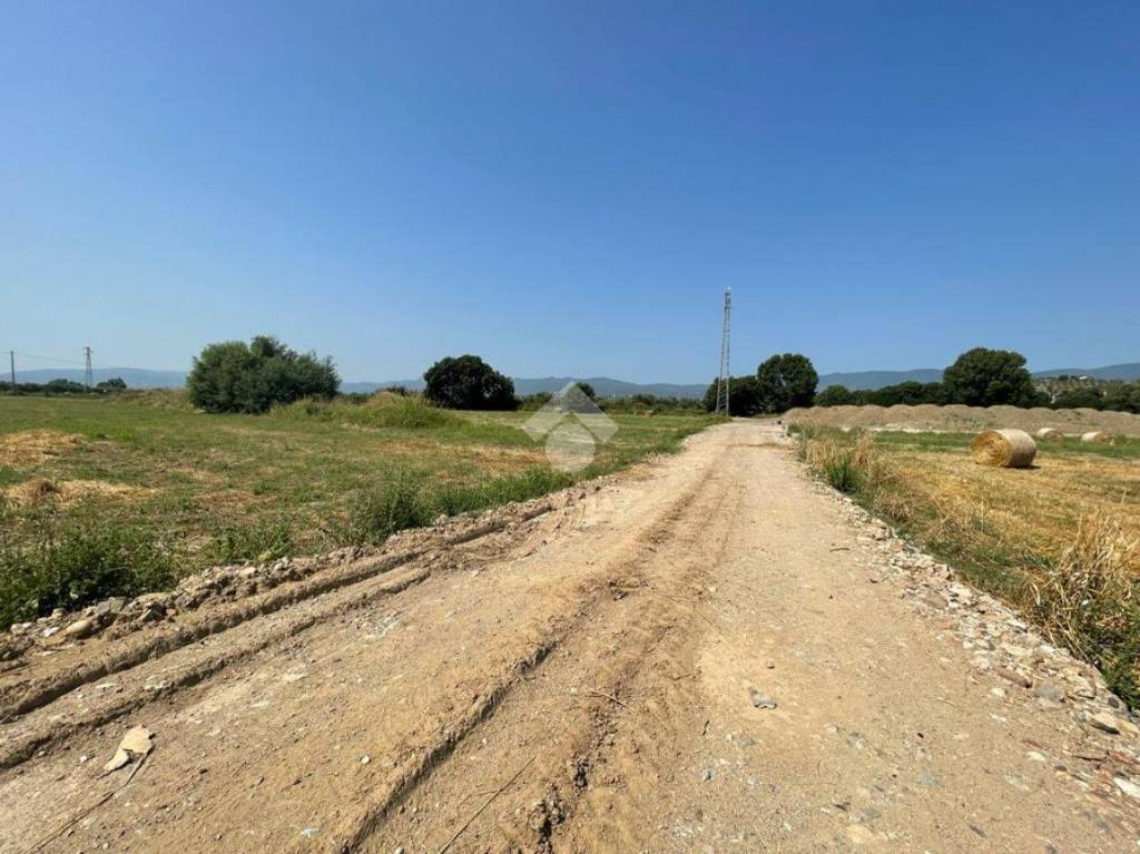 immagine annuncio 4 di 12