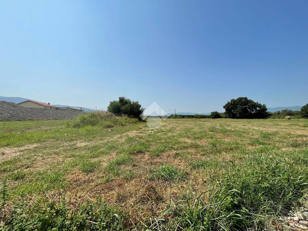 immagine annuncio 6 di 12