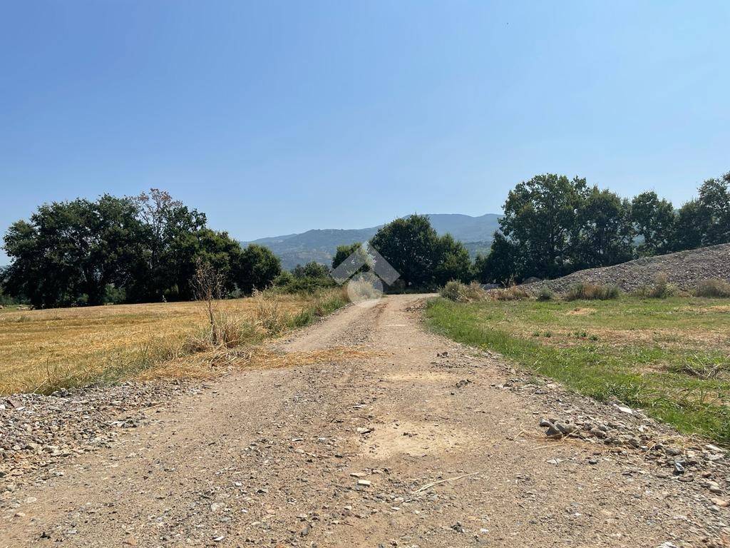 immagine annuncio 9 di 12