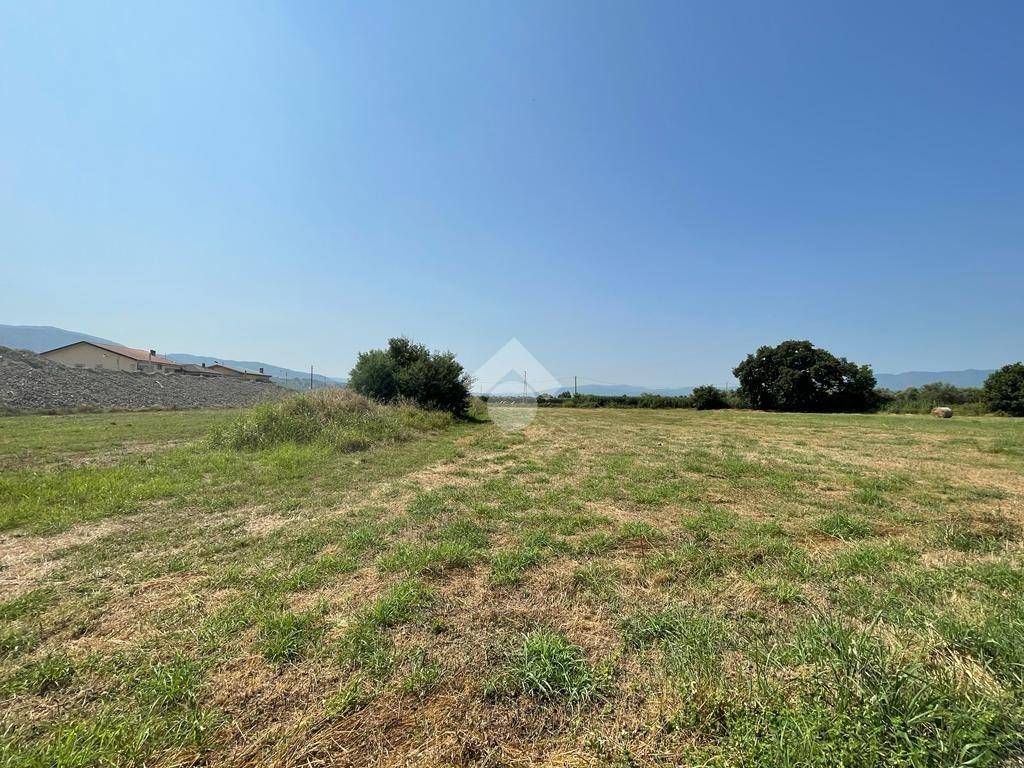 immagine annuncio 10 di 12