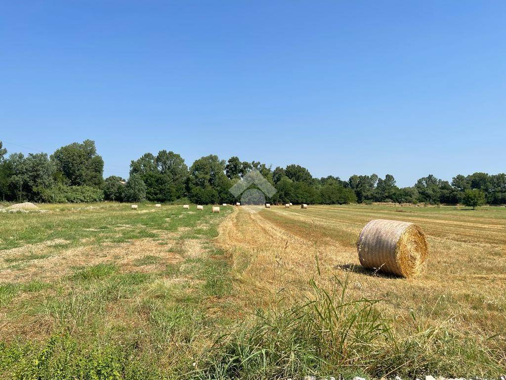 immagine annuncio 11 di 12