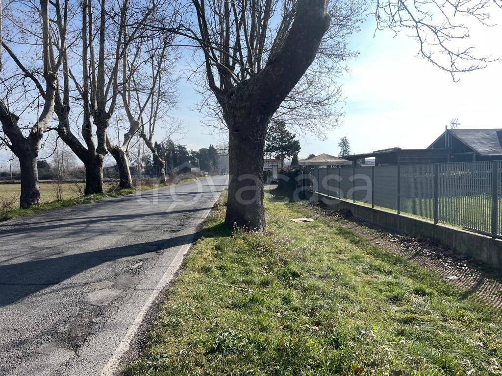 immagine annuncio 2 di 14